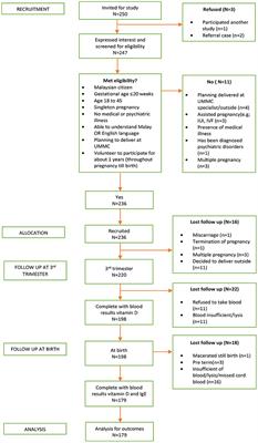 Longitudinal Vitamin D Deficiency Among Malaysian Pregnant Women and Its Correlation With Neonatal Serum 25-Hydroxyvitamin D Levels